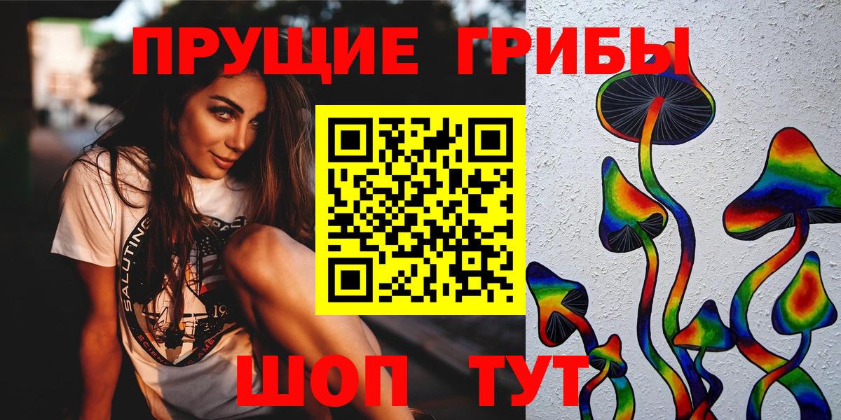 Алатырь  Псилоцибиновые грибы ЛСД  Вход с VPN 